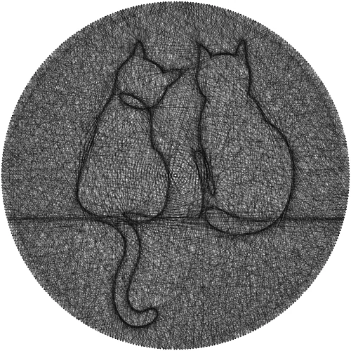 Couple Cats