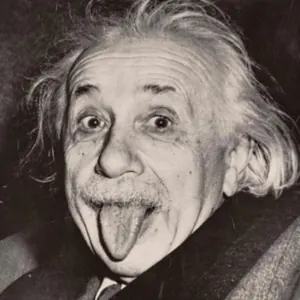 Einstein — Referenzfoto